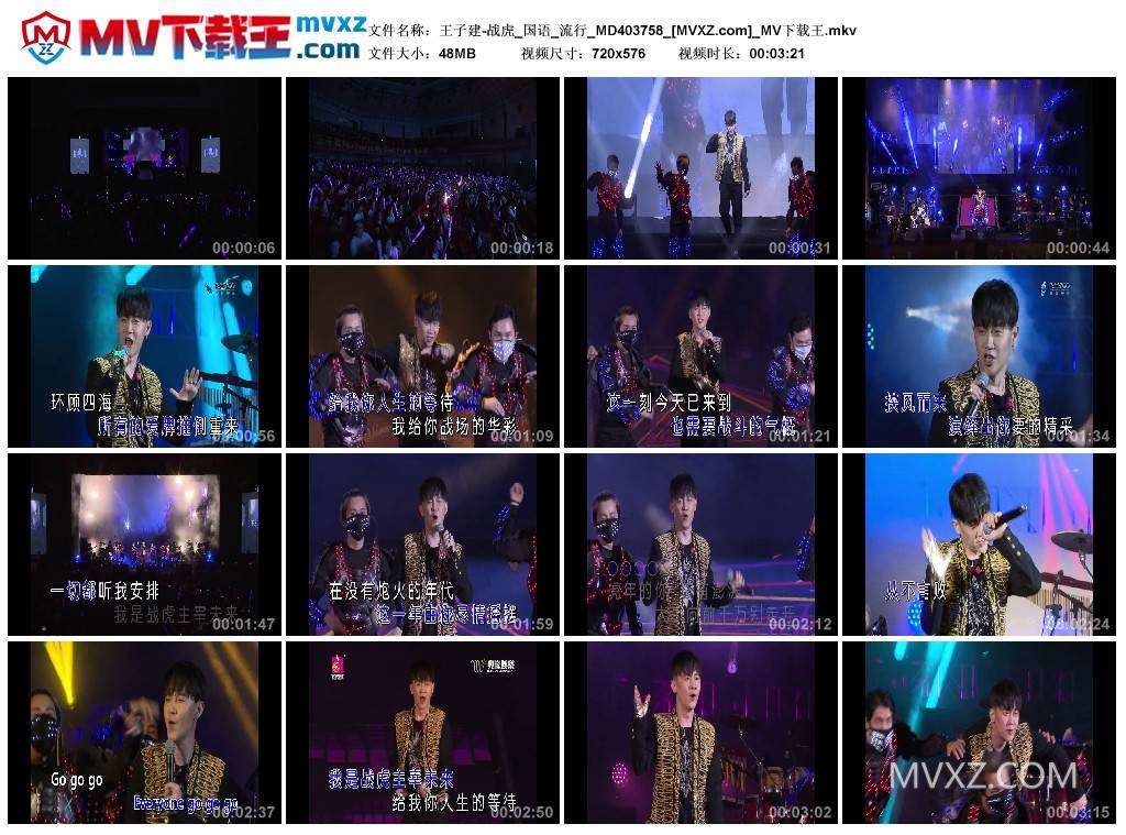 王子建-战虎_国语_流行_MD403758